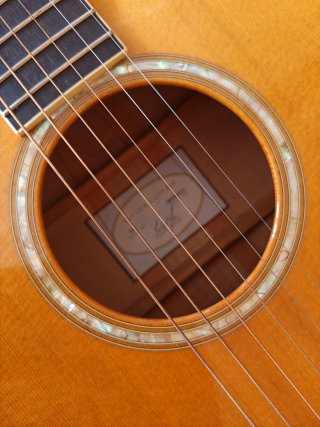 Guitarra Taylor GA6 (614) Acústica