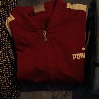 Pack sudaderas,pantalones Reebok, Puma y Champion