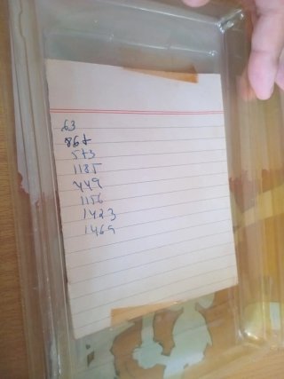 RAREZA BRUCE LEE VHS Tarzerik