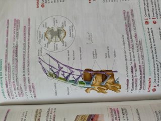 Biología y Geología 3º ESO. Libro del estudiant...