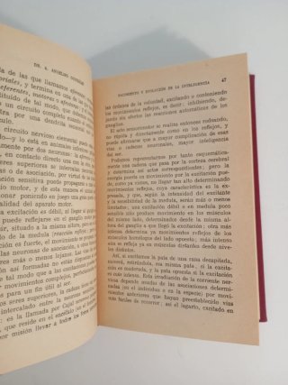 Libro Antiguo (1930) Evolución de la Inteligencia