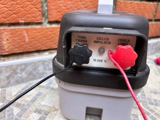 Pastor solar para ganado
