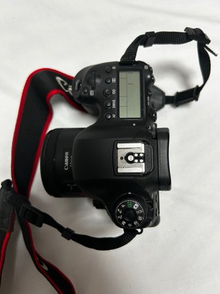 Canon EOS 6D Mark II + Lente 50mm 1.8 STM