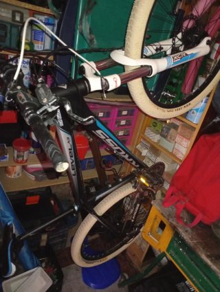 Bicicleta de Montaña