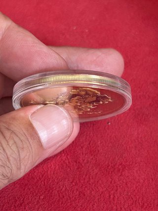 Medalla El Rey León Nala Dorada Conmemorativa