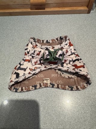 Correa para Perro MY PUG & CO. Diseño Divertido
