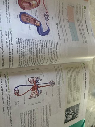 Biología y Geología. 3 Secundaria. Revuela