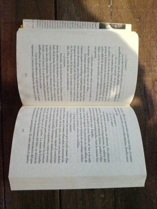 Libro claraboya. Saramago