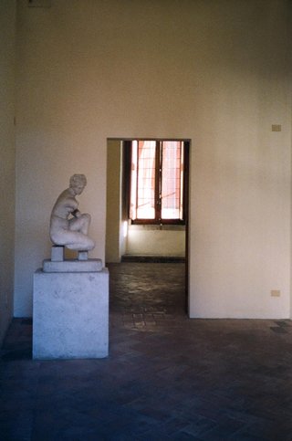 Lote de carretes Lomography Color Negative 800