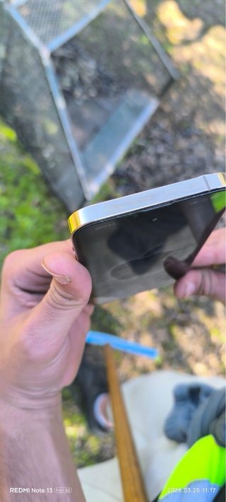 iPhone 13 Pro Max Plata y dorado