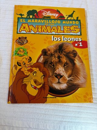 Libro el maravilloso mundo de los leones