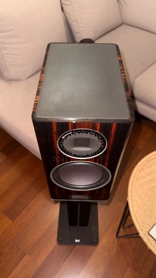 Monitor Audio Gold 100 G5 Altavoces