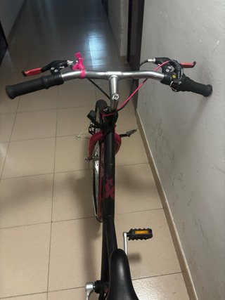 Bicicleta niña 8-12 años