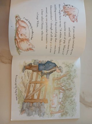 All Pigs are Beautiful