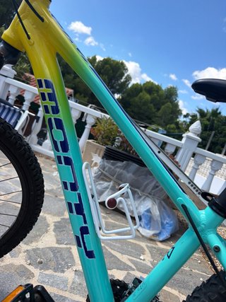 Bicicleta de montaña