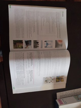 Religión Católica, Bachillerato, Edén, Revuela