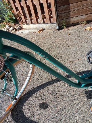 Bicicleta de paseo verde