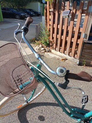 Bicicleta de paseo verde