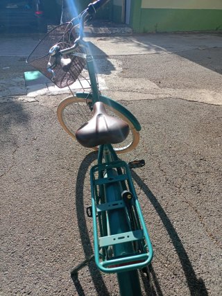 Bicicleta de paseo verde
