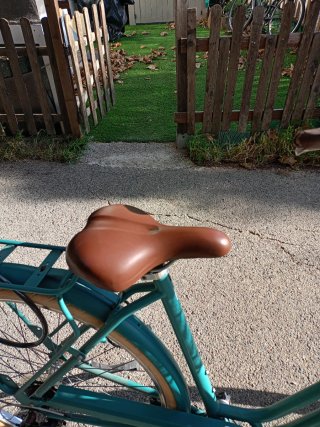 Bicicleta de paseo verde