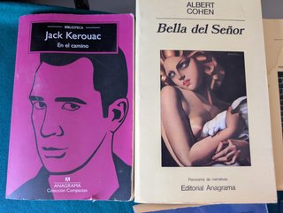 Lote libros editorial Angrama
