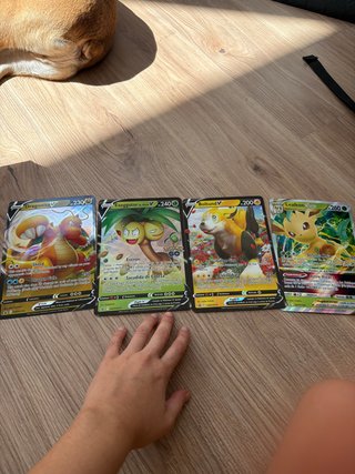 Cartas Pokémon V Dragonite, Exeggutor, Boltund, Le