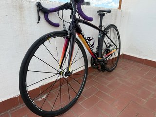 Specialized Amira SL4 Expert Ultegra Carbono T48
