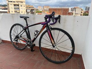 Specialized Amira SL4 Expert Ultegra Carbono T48