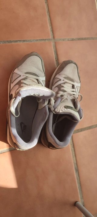 Nike Air Max Clásicas Originales Beige/Gris