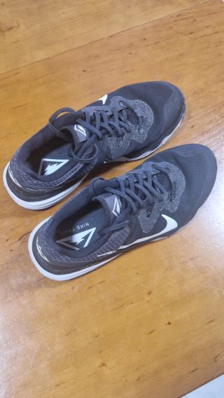 Zapatillas Nike Trail Negras y Grises
