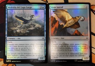 Lote 2 Cartas MTG El Hobbit Aves FOIL