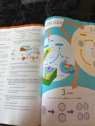 Biologia i Geologia, 4 ESO, Secundària, D'una a...