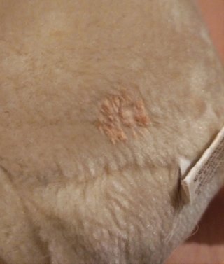 Peluche Vintage Perro Marrón Lazo Borgoña