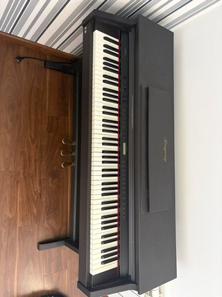 Piano Digital Ringway TG8875