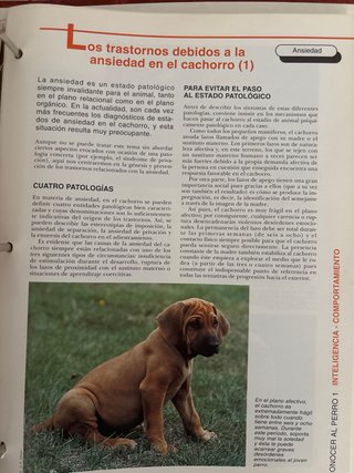 Enciclopedia completa Mis amigos los perros