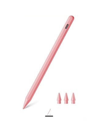 Penna rosa per iPad con punte