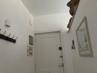 Servicios de pintura y mudanzas