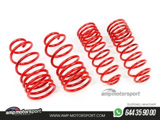 MUELLES DEPORTIVOS MTS TECHNIK MTSXOP078