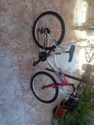Bicicleta Topbike 24