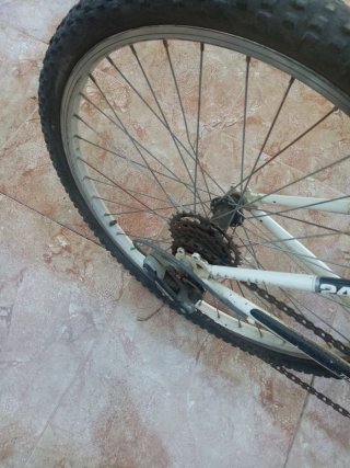 Bicicleta Topbike 24