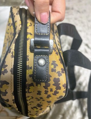 Mochila Tous Animal Print Multicolor