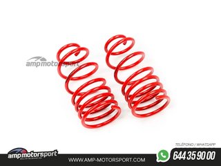 MUELLES DEPORTIVOS MTS TECHNIK MTSXBM244