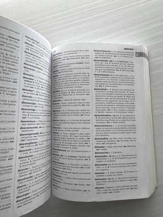 NUEVO DICCIONARIO BÁSICO DE LA LENGUA ESPAÑOLA ...