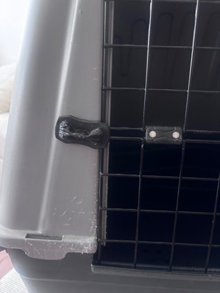 Transportín rígido para perros medianos.