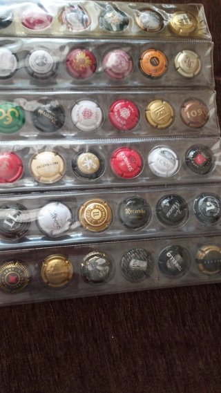 30 Chapas de Cava Colección