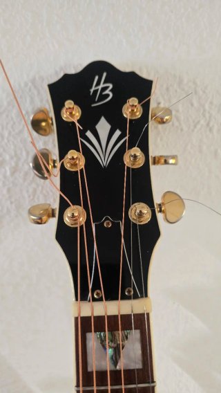 Guitarra Electroacústica Harley Benton Custom Line