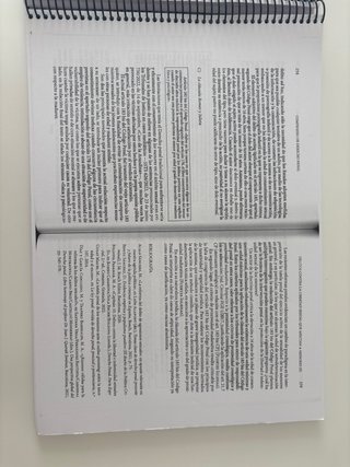Compendio de Derecho Penal Parte Especial (I)