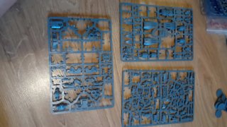 Legiones Imperialis Auxilia Lote