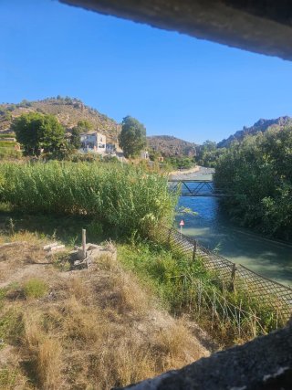 PARCELA ÚNICA JUNTO AL RÍO SEGURA – ABARÁN, MURCIA