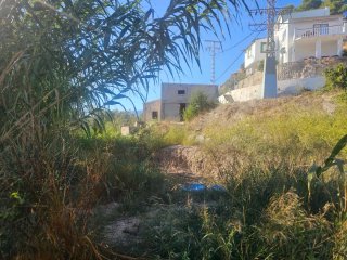 PARCELA ÚNICA JUNTO AL RÍO SEGURA – ABARÁN, MURCIA